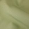 Polyester Solid Celery