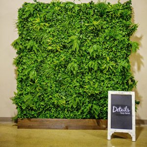 Tropical boxwood wall hedge